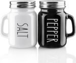 Salt and Pepper Shakers Set