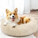 Hoewina Dog & Cat Bed for Indoor Cats - Image 2